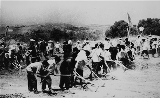 1650776938100808.jpg 2.jpg